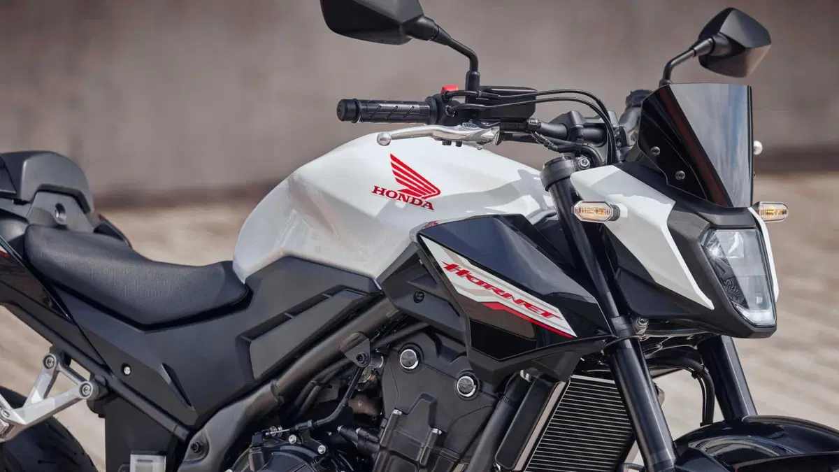 Honda CB 500 Hornet CB 500 Hornet (2024 - 25) (7)