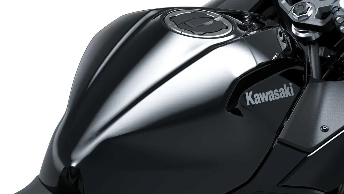 Kawasaki Ninja 500 Ninja 500 (2024 - 26) (5)
