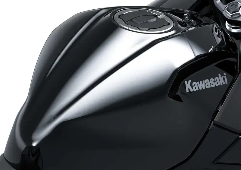 Kawasaki Ninja 500 Ninja 500 (2024 - 26) (5)