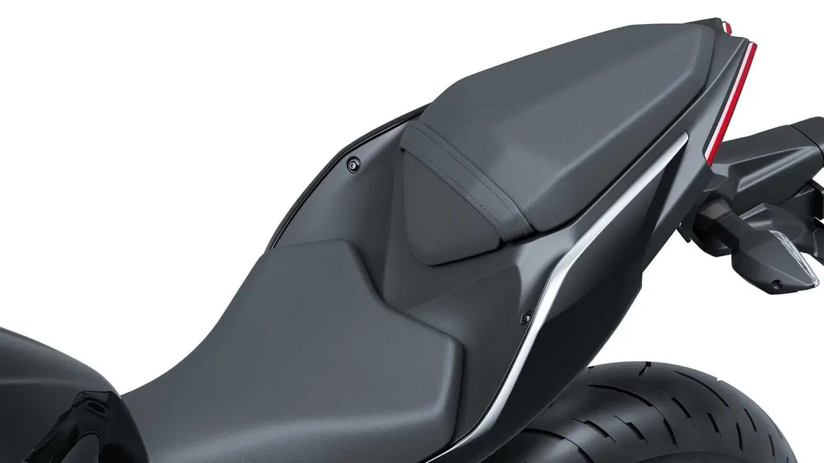 Kawasaki Ninja 500 Ninja 500 (2024 - 26) (7)