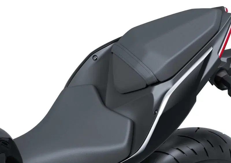 Kawasaki Ninja 500 Ninja 500 (2024 - 26) (7)