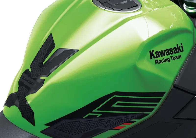 Kawasaki Ninja 500 Ninja 500 SE (2024 - 26) (9)