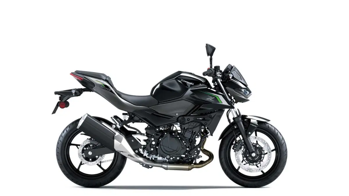 Kawasaki Z 500 Z 500 (2024 - 26) (2)