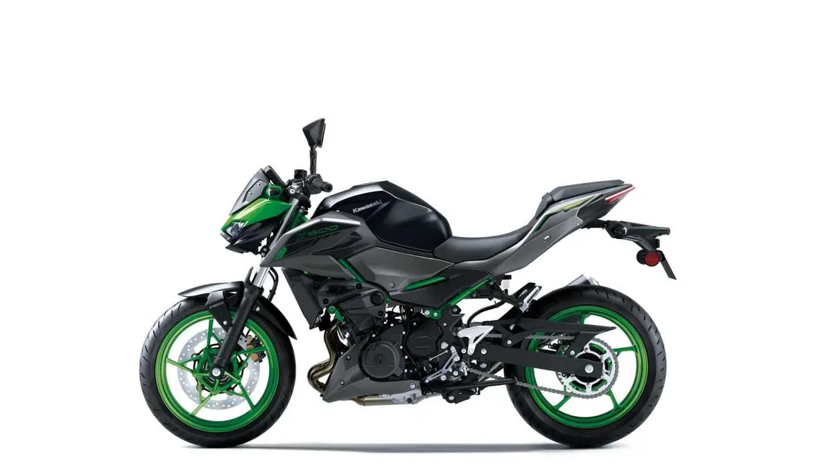Kawasaki Z 500 Z 500 SE (2024 - 26) (3)