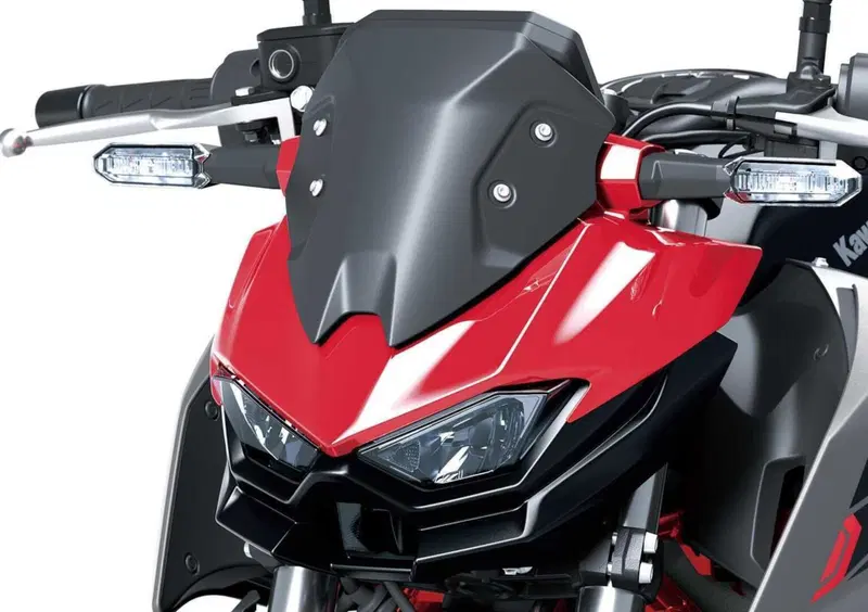 Kawasaki Z 500 Z 500 SE (2024 - 26) (11)
