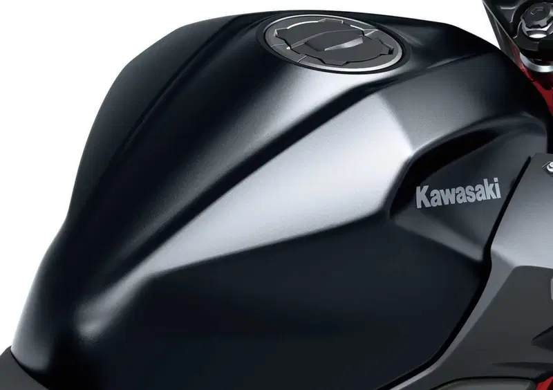 Kawasaki Z 500 Z 500 SE (2024 - 26) (15)