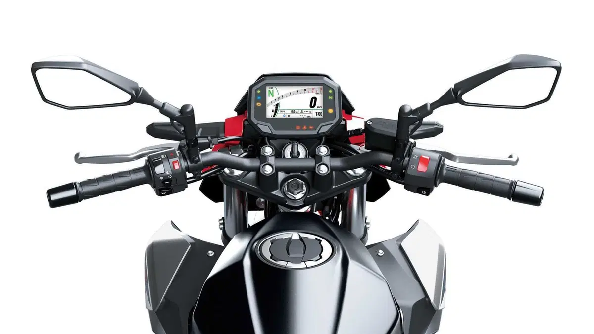 Kawasaki Z 500 Z 500 SE (2024 - 26) (12)