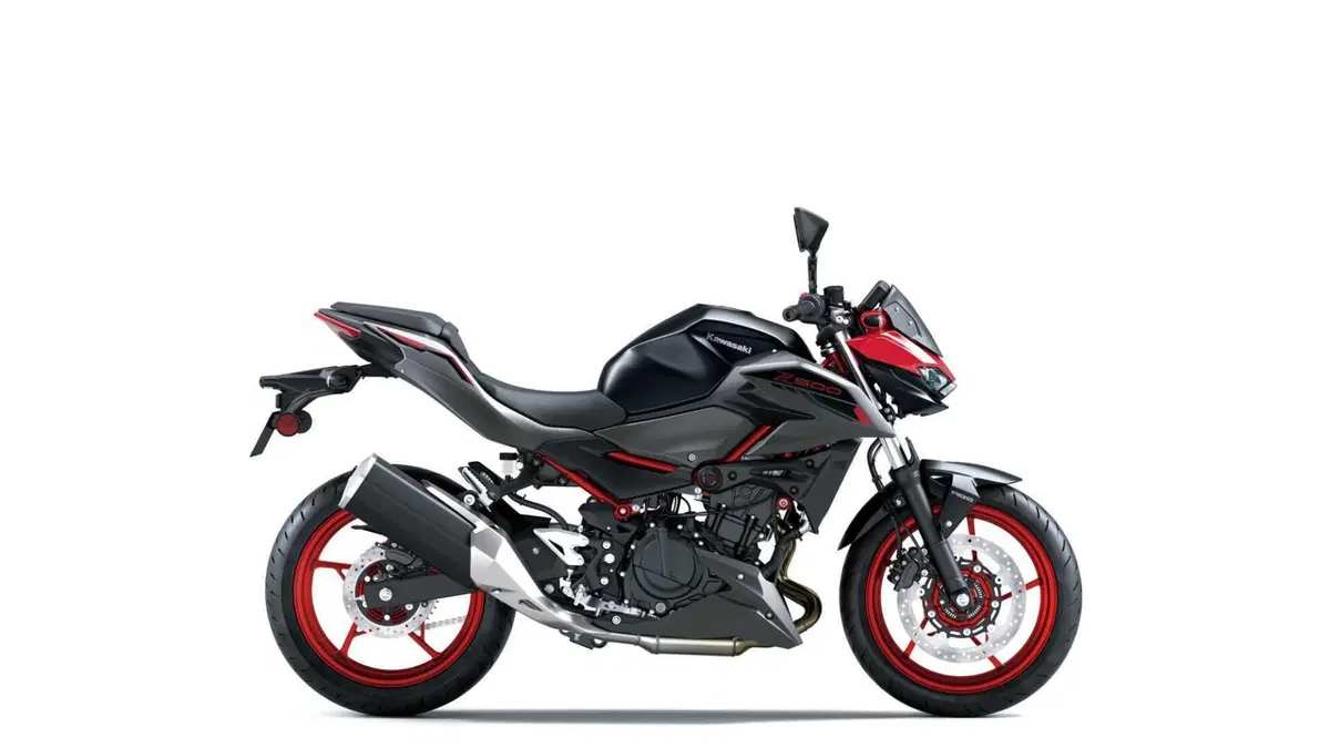 Kawasaki Z 500 Z 500 SE (2024 - 26) (5)