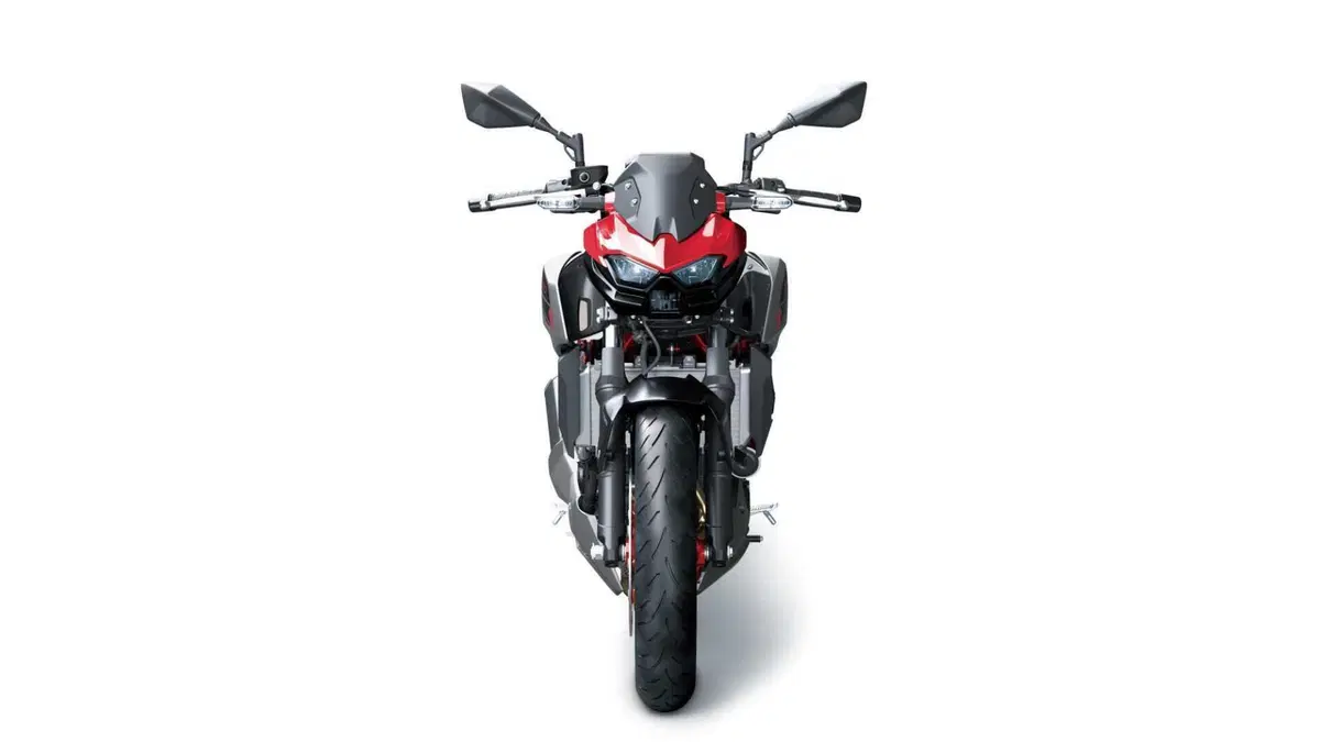 Kawasaki Z 500 Z 500 SE (2024 - 26) (8)