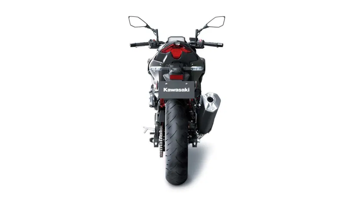 Kawasaki Z 500 Z 500 SE (2024 - 26) (9)