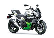 Kawasaki Z7 Hybrid (2024)