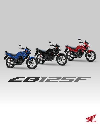 Nuovi colori per il Dax 125 e la CB125F che riceve anche piccoli aggiornamenti (4)