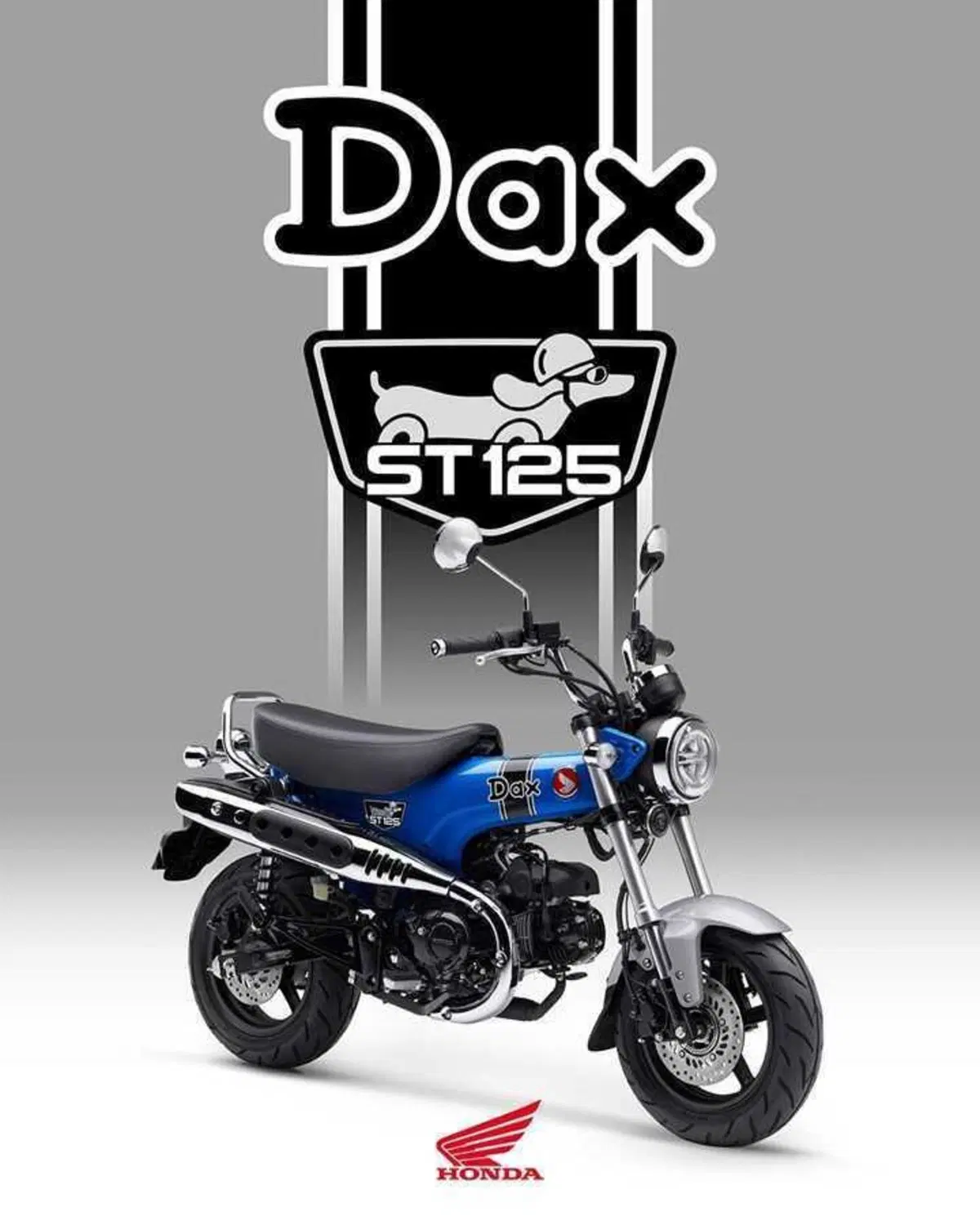 Nuovi colori per il Dax 125 e la CB125F che riceve anche piccoli aggiornamenti (15)