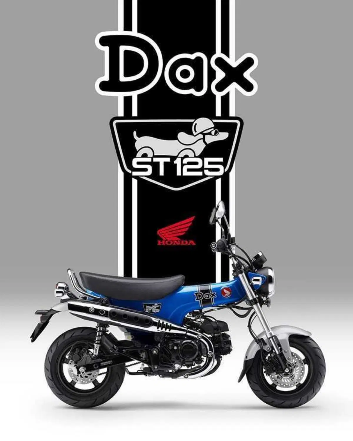 Nuovi colori per il Dax 125 e la CB125F che riceve anche piccoli aggiornamenti (16)