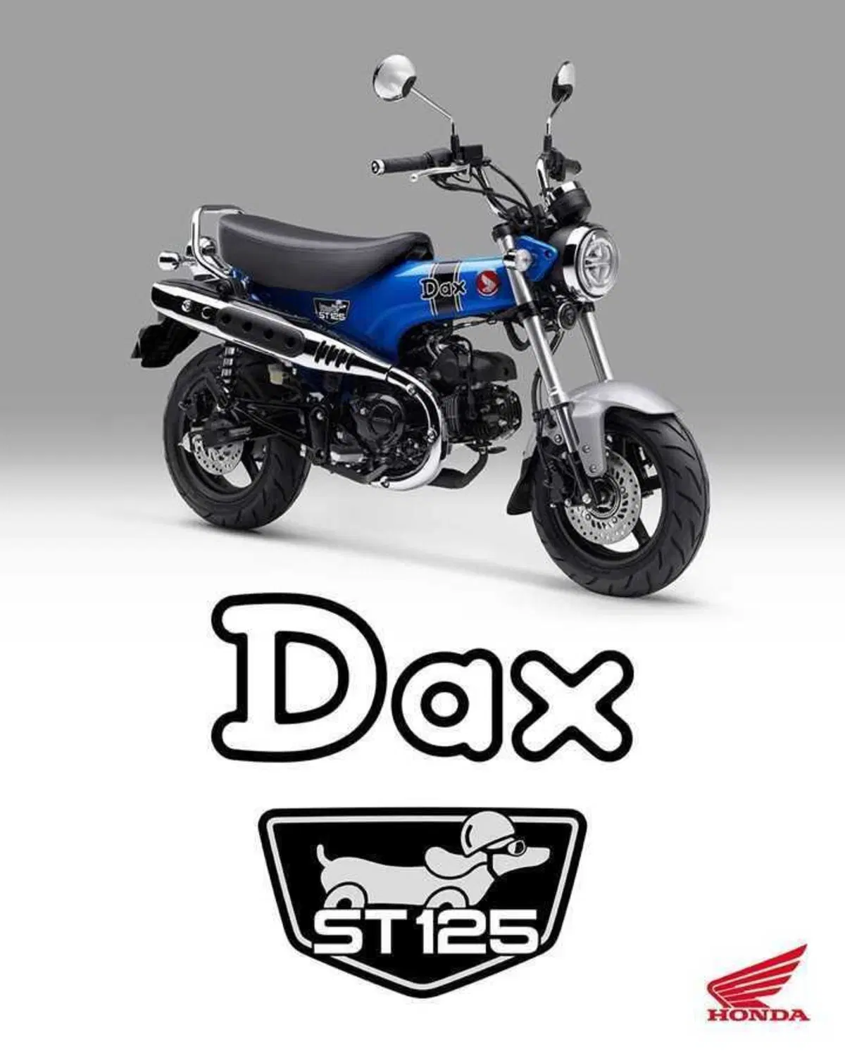 Nuovi colori per il Dax 125 e la CB125F che riceve anche piccoli aggiornamenti (17)