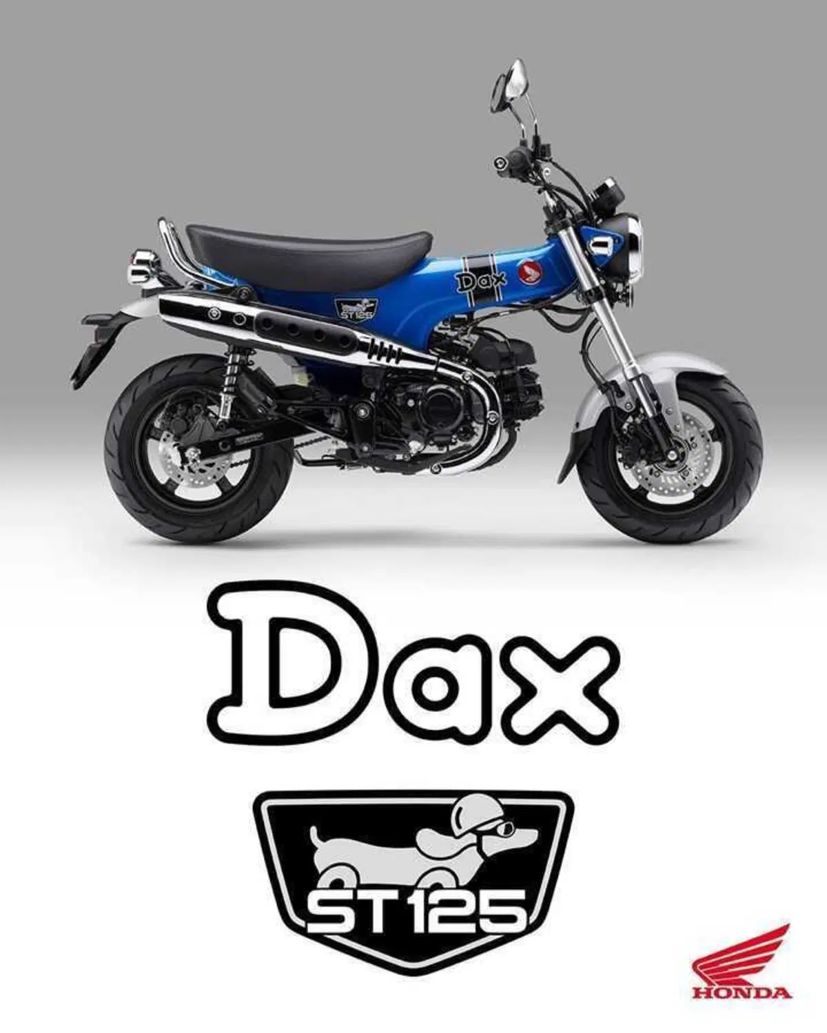 Nuovi colori per il Dax 125 e la CB125F che riceve anche piccoli aggiornamenti (18)