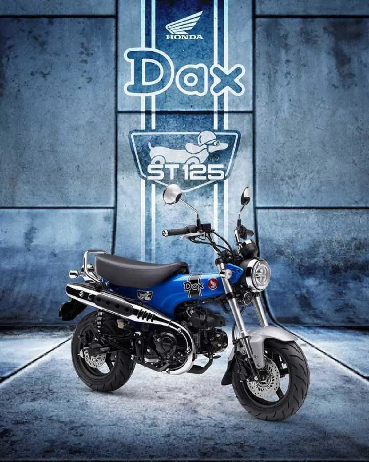 Nuovi colori per il Dax 125 e la CB125F che riceve anche piccoli aggiornamenti (19)