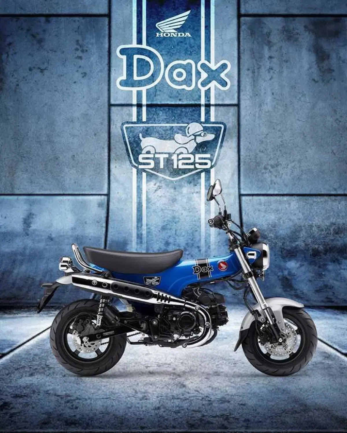 Nuovi colori per il Dax 125 e la CB125F che riceve anche piccoli aggiornamenti (20)