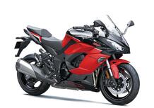 Kawasaki Ninja 1000 SX 40th Anniversary Edition (2024)