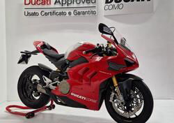 Ducati Panigale V4 R 1000 (2019 - 20) usata