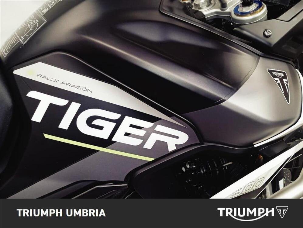 Triumph Tiger 900 Rally Aragón Edition (2023 - 24) (5)
