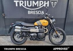 Triumph Scrambler 900 (2023 - 24) nuova