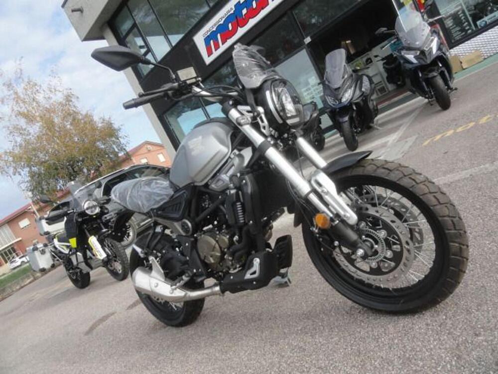 Voge Trofeo 300ACX Scrambler (2021 - 24) (2)