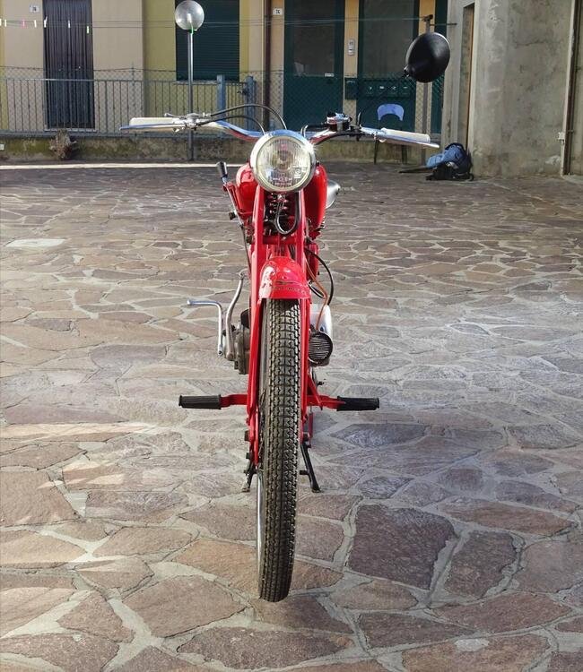 Moto Guzzi Cardellino 65 (3)
