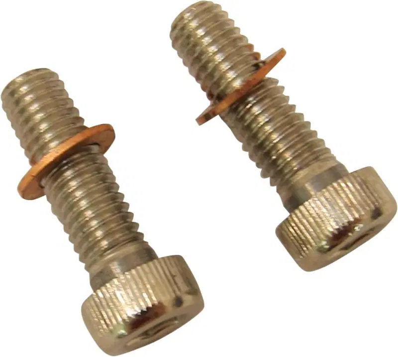 Coppia viti con rondelle per fissaggio pompanti pe Drag Specialties