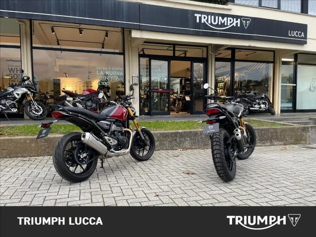 Triumph Scrambler 400 X (2024 - 26) (18)