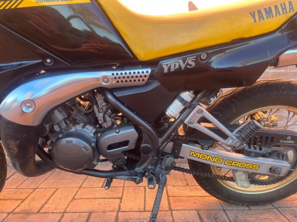 Yamaha TDR 250 (3)