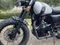 Mutt Motorcycles RS-13 250 (2021 - 24) (15)