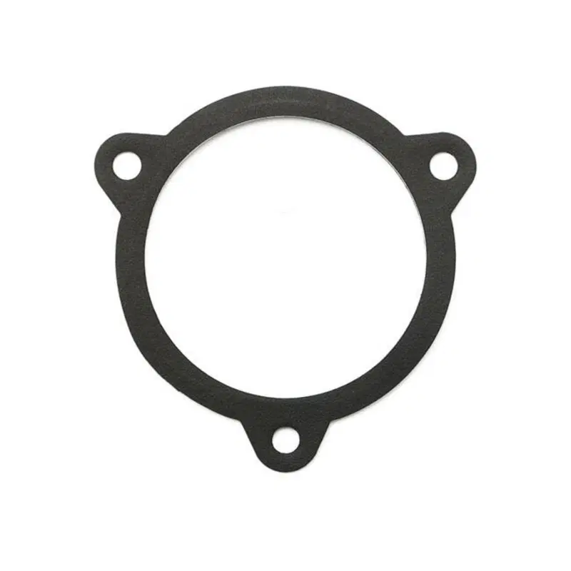 Guarnizione tra iniezione e scatola filtro aria Pe 