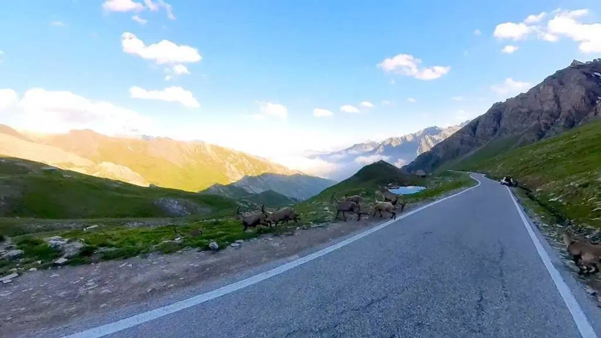 I viaggi dei lettori: sulle Alpi con papà (36)