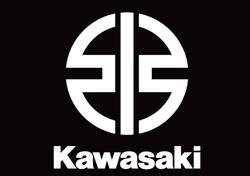 Kawasaki Z 900 A2 (2021 - 24) nuova