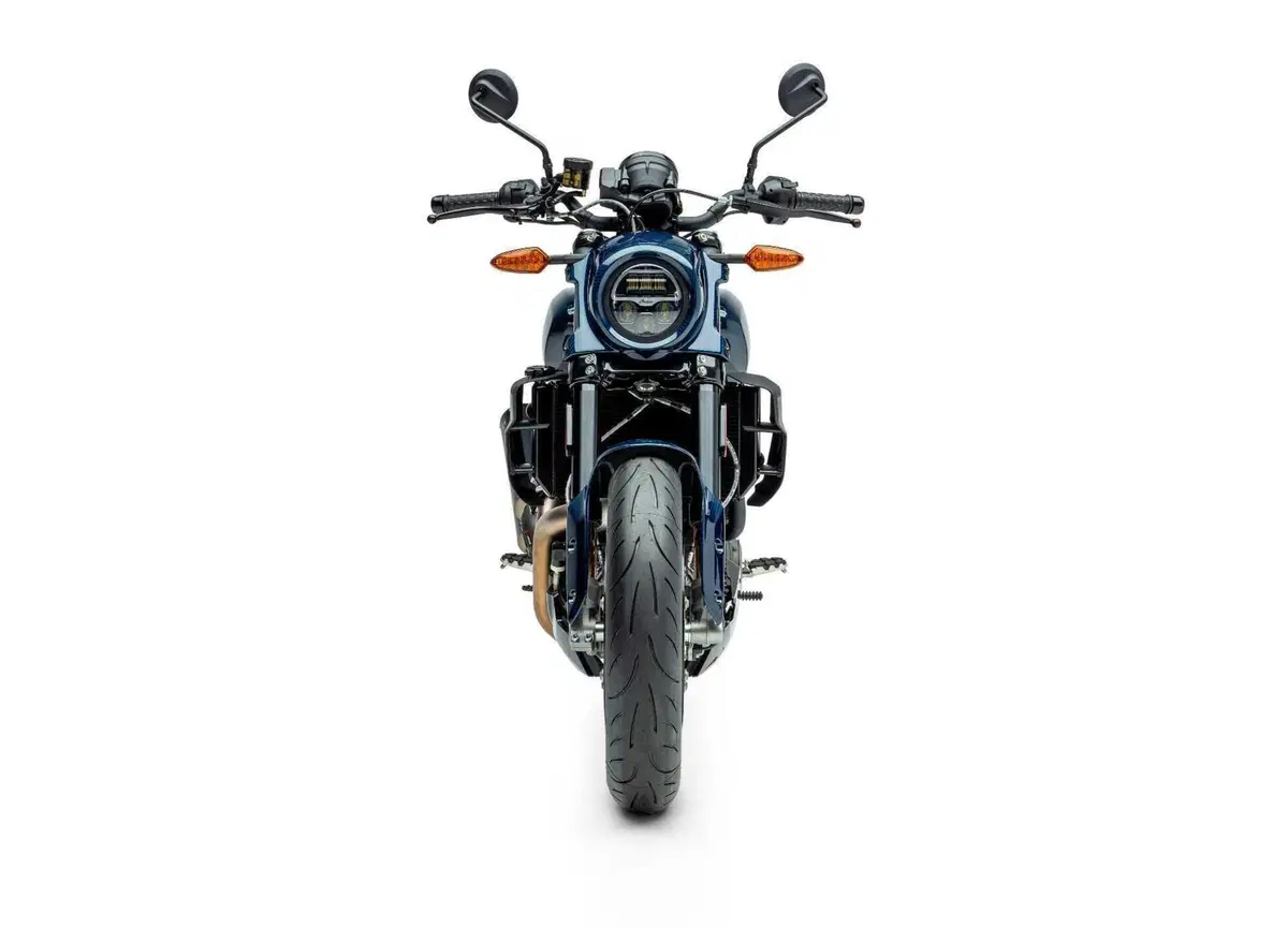 Nuova Indian FTR X 100% R Carbon: soltanto 400 al mondo  (6)