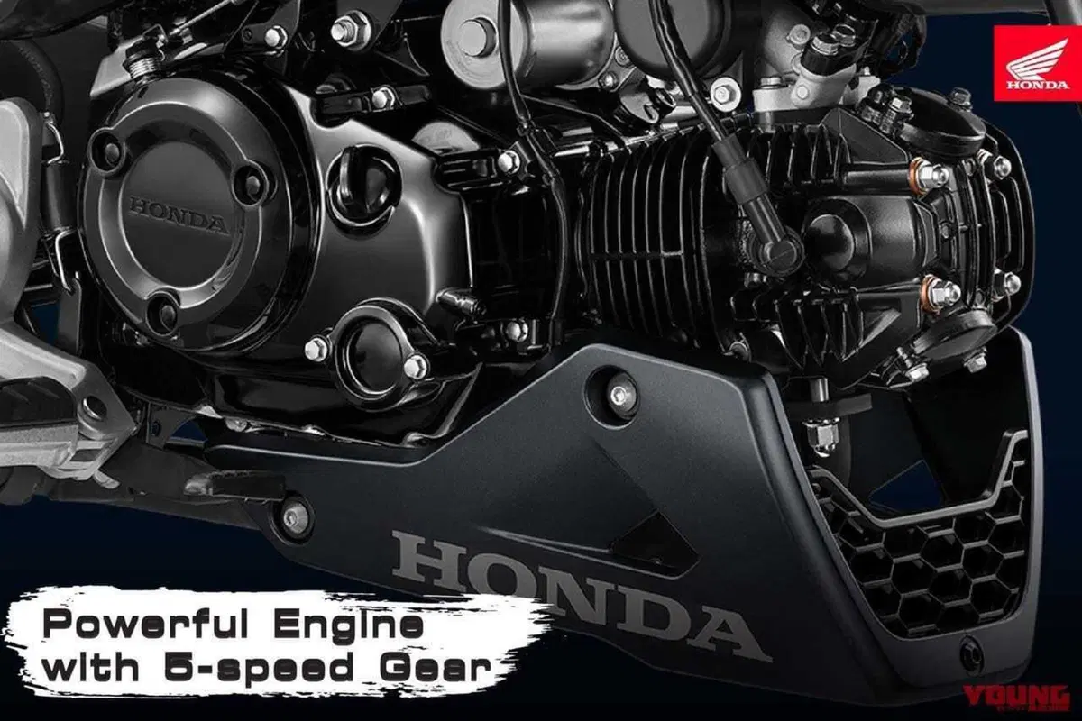 Honda MSX 'Grom' si rinnova! Ma solo in Asia (per ora)  (2)