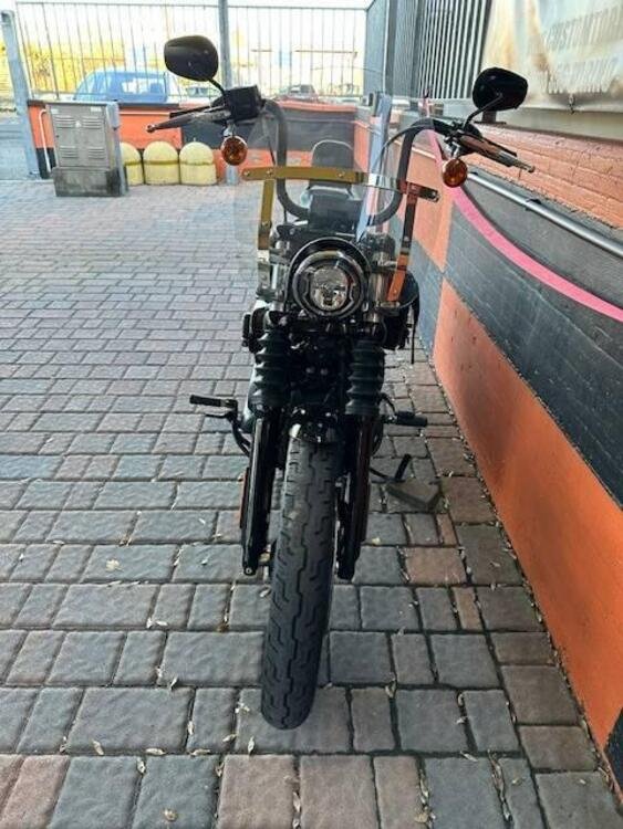 Harley-Davidson Street Bob 114 (2021 - 24) (4)