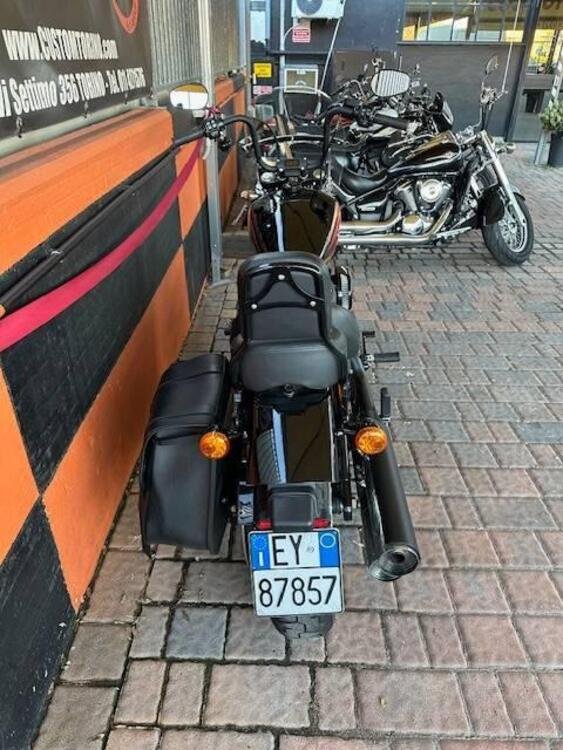 Harley-Davidson Street Bob 114 (2021 - 24) (5)