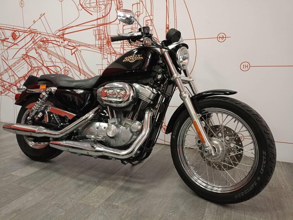 Harley-Davidson 883 (2008 - 09) - XL (3)