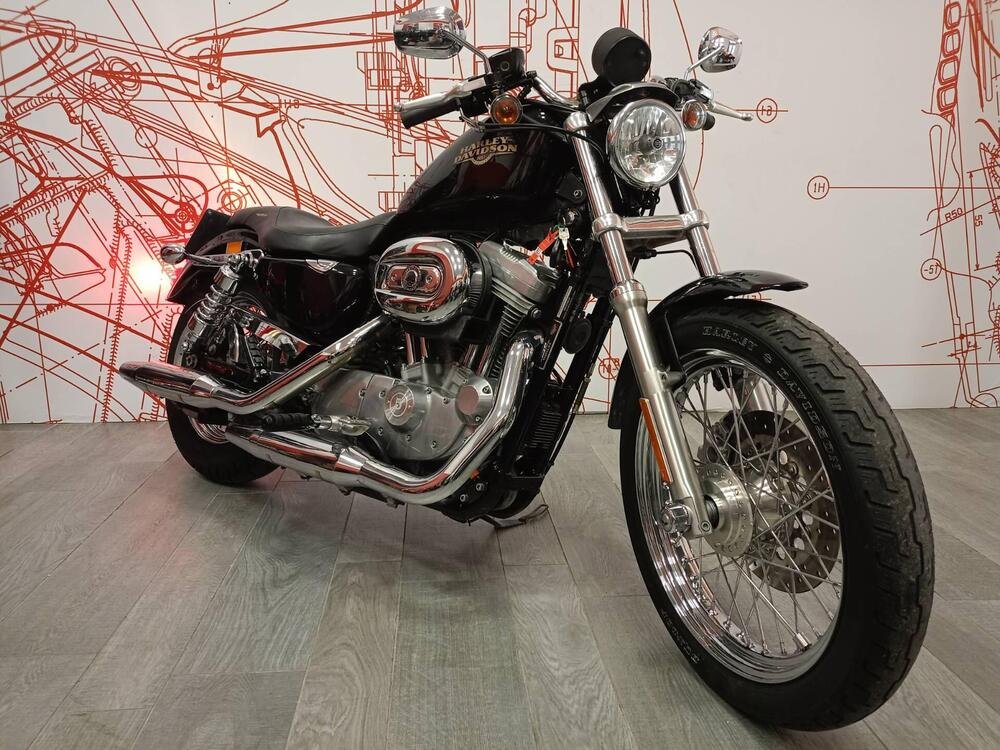 Harley-Davidson 883 (2008 - 09) - XL (4)
