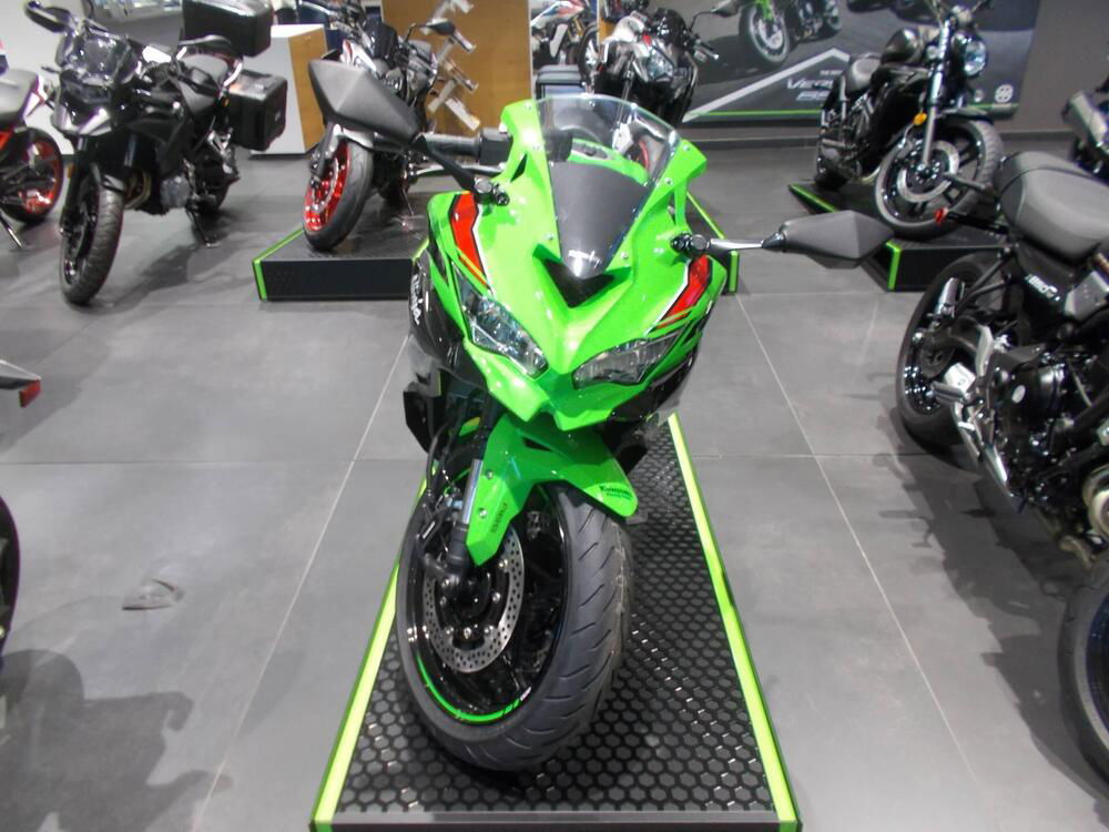 Kawasaki Ninja ZX-4RR (2024 - 25) (3)