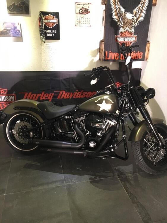 Harley-Davidson 1800 Slim S (2015 - 17) - FLS (4)