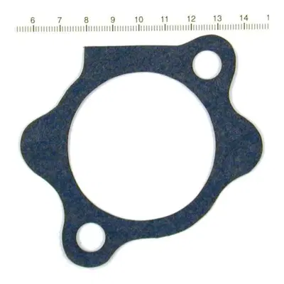 Guarnizione motorino avviamento per Sportster dal 