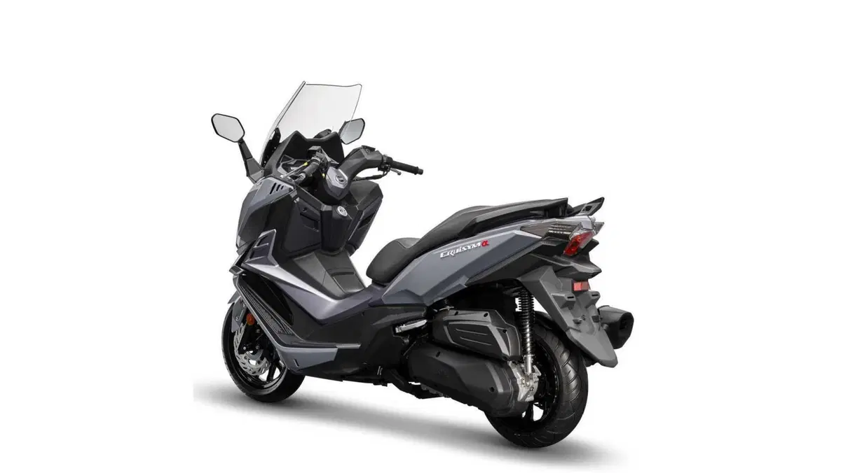 Sym CruiSym 300 Cruisym 300 (2021 - 24) (8)