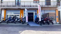 Motus Team