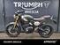 Triumph Scrambler 400 X (2024) (10)