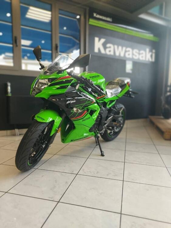Kawasaki Ninja 125 (2021 - 24) (4)