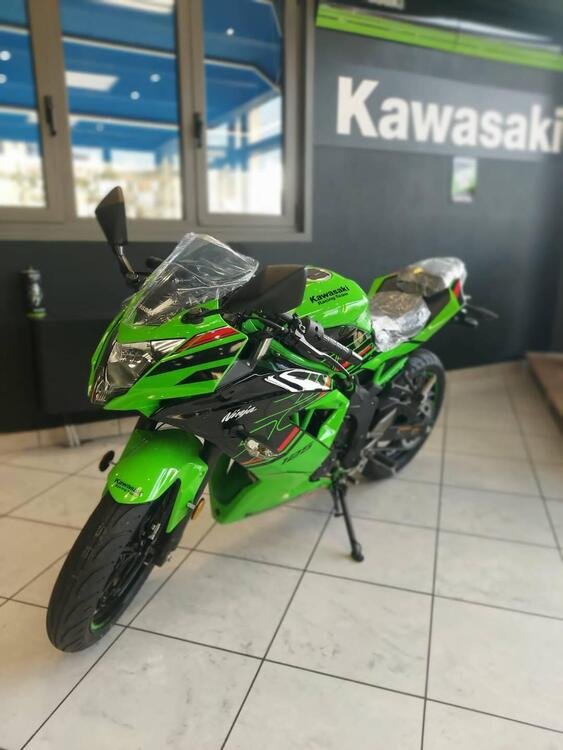 Kawasaki Ninja 125 (2021 - 24) (5)
