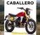 Fantic Motor Caballero 500 Scrambler (2024) (10)